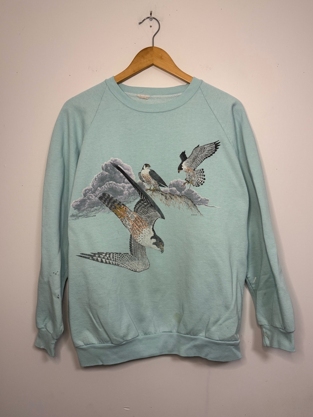 80’s Vintage Light Blue Graphic Crewneck Sweatshirt - Bird Print Nature Sweat